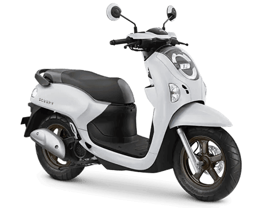Honda Scoopy - Honda Scoopy
